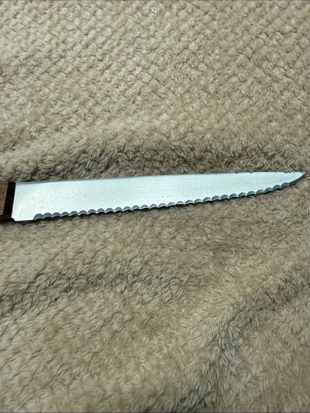 Dansk 13 1/2